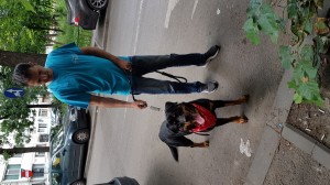 7-transport-09-iunie-2016  