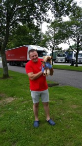 9-transport-shitzu-uk-iunie-2016  