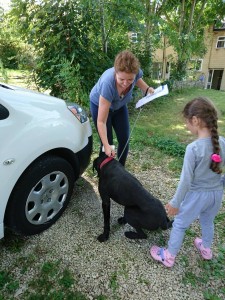 14075040 1179261452135054 672792227 o