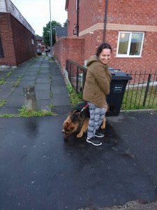 14075054 1179261895468343 1368448442 o