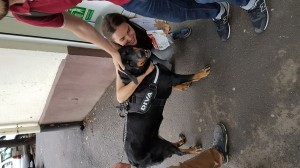 03-24 august-20160824 162628