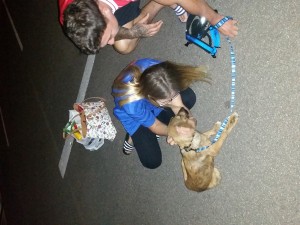 03-24 august-20160827 000340