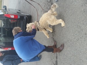 03-26 oct-20161028 115043