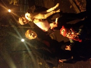 03-11 noiembrie-20161111 172446