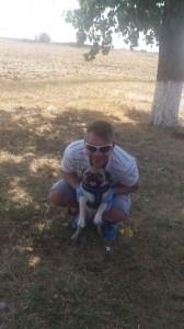 transport-animale-pug