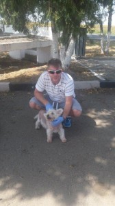 transport-caini-bichon