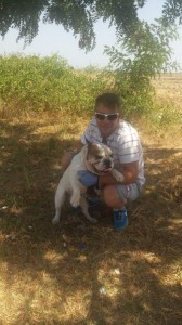 transport-caini-bulldog