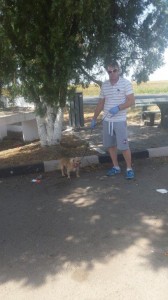 transport-caini-pekingese
