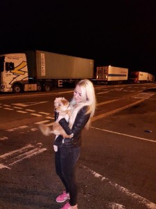 transport-catei-bichon-2