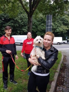 transport-catei-bichon 