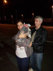 transport-catei-schnautzer 