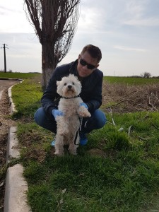 West Highland anglia dog