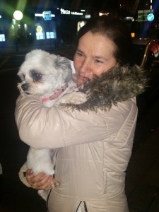 transport-caini-anglia-martie-2017-016