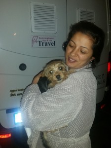 transport-caini-anglia-martie-2017-017