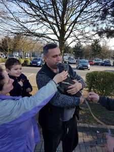 transport-caini-anglia-martie-2017-022