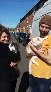 transport-caini-anglia-martie-2017-024