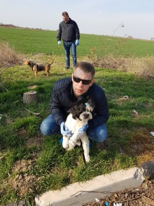 transport bichon Londra