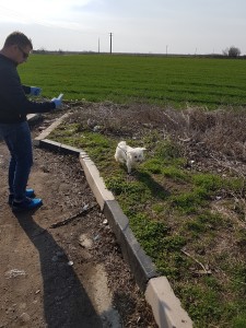 transport caine West Highland