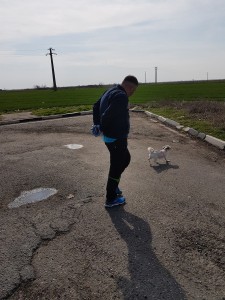 transport catel anglia