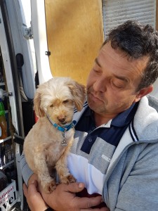 transport catel terrier Anglia