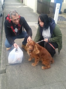 transport cocker in anglia