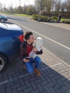 transport pomeranian anglia