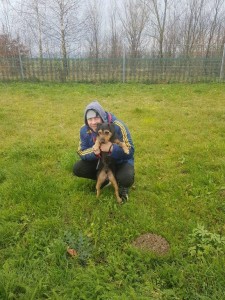 transport-catei-metis