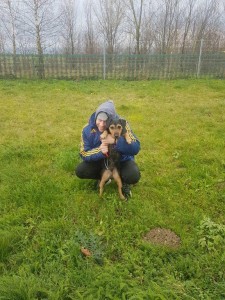 transport-catei-metis (2)