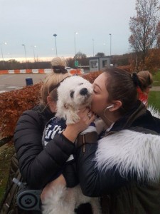 transport-animale-caniche