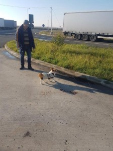 transport-catei-anglia