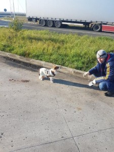 transport-catei-belgia