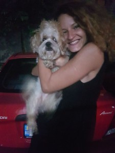 transport-animale-bichon  