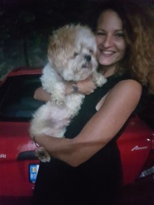 transport-caini-bichon   