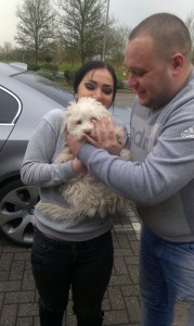 transport-bichon-uk-germania-februarie-2016           