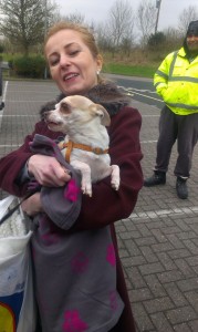 transport-catel-uk-februarie-2016           