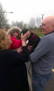 transport-doberman-anglia-2016-februarie           