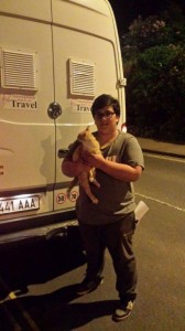 transport pisica