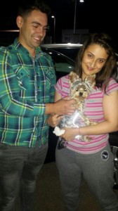 transport yorkshire terrier