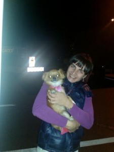 pekinez transport uk