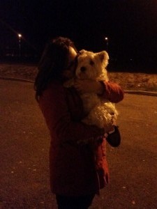 terrier transport uk666