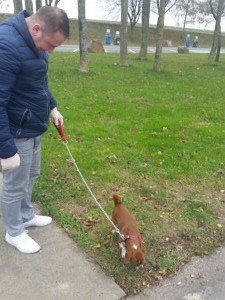 transport caini uk55