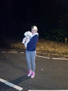 transport caniche anglia