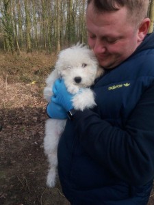 transport-animale-bichon