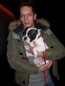 transport-animale-buldog