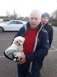 transport-caini-bichon 