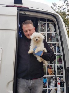 transport-animale-bichon (2)