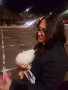 transport-animale-bichon (3)