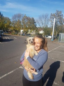transport-caini-bichon (3)