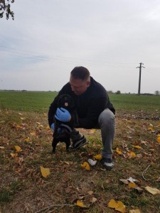 transport-caini-pug (3)