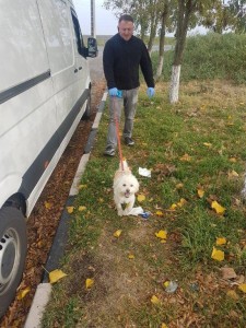 transport-catei-bichon (3)